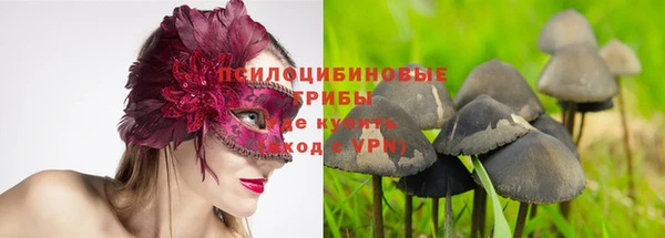 марки nbome Алексеевка
