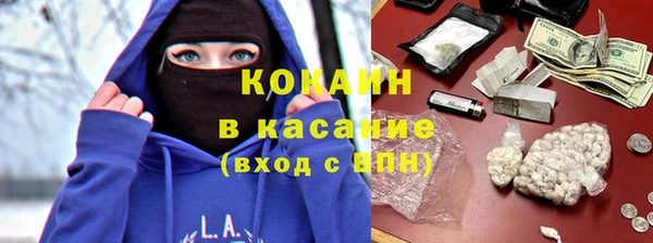 твердый Алзамай