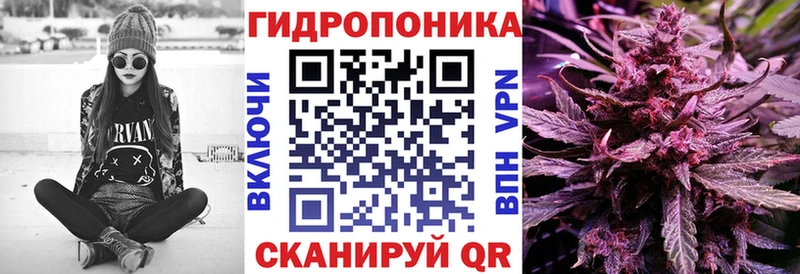 kraken tor  Алапаевск  Конопля OG Kush  дарнет шоп 